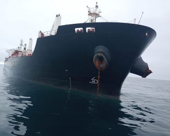 Boats (15)