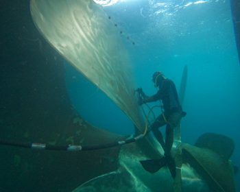 DCIM100GOPROGOPR2571.JPG