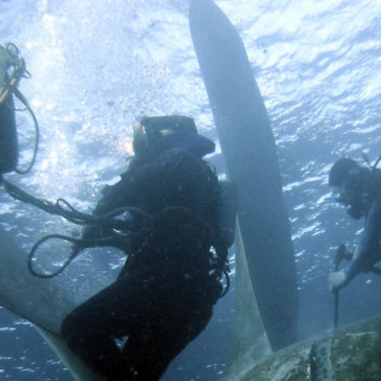 Slider-Prop_repair-1024x361